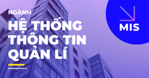 Học ngành Hệ thống thông tin quản lý