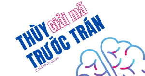 thùy trước trán