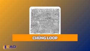 CHỦNG LOOP – CHỦNG VÂN TAY NƯỚC [2025]