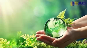 Trí Thông Minh Thiên Nhiên: 4 Dấu Hiệu Đặc Trưng Trong Hành Vi Của Trẻ