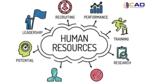 HR Là Gì? Khám Phá Tất Tần Tật Về Nghề Quản Lý Nhân Sự